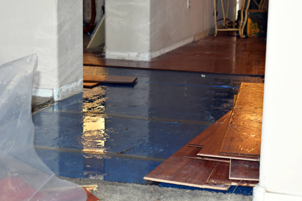 Professional Flood Damage Repair technician working in Hackberry, TX